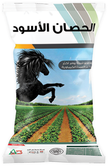 الحصان الأسود